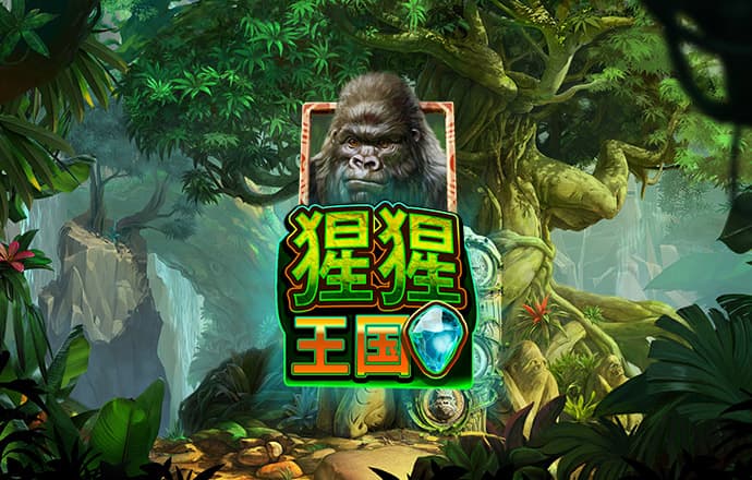 云博平台app